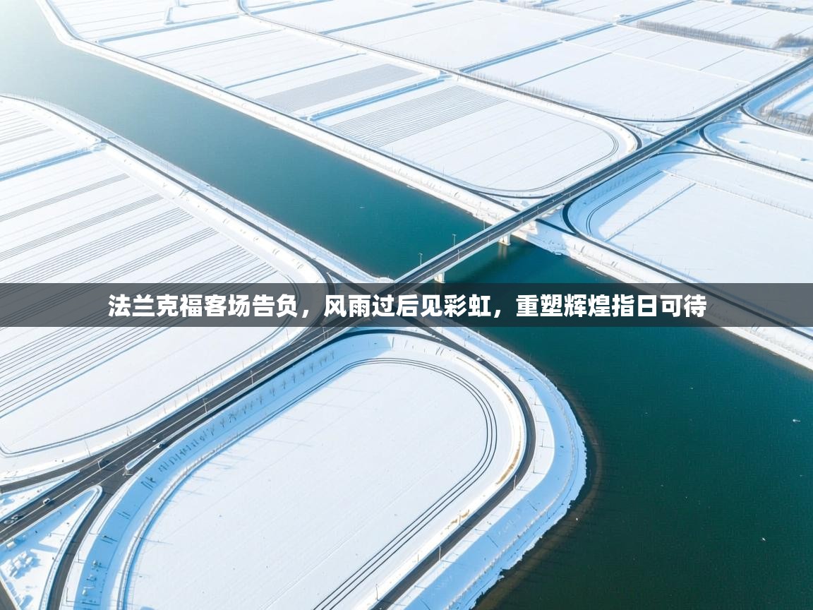 法兰克福客场告负，风雨过后见彩虹，重塑辉煌指日可待  第2张