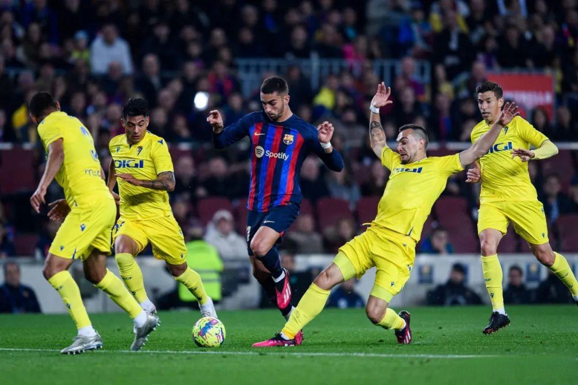 开云体育官网入口-汉诺威波鸿连胜，主场成为不败之师的简单介绍