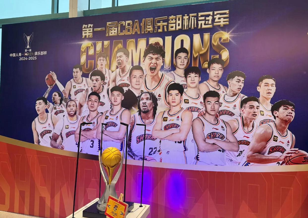 开云体育app下载-北京首钢球员绽放，统治力席卷全场的简单介绍